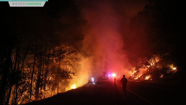 El Desconcierto | incendios crisis clima e1698599127327.png