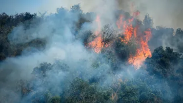 DMC actualiza al alza la Alerta Meteorológica por calor extremo: 37°C en Santiago y casi 30°C en Viña del Mar