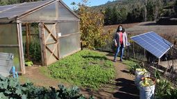 ¿Tienes una producción agrícola? Conoce los créditos para paneles solares y riego tecnificado