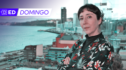 Subsecretaria de Vivienda: “Queremos recuperar el rol del Estado como planificador”