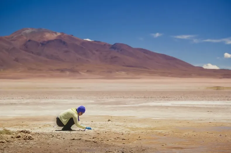 15557 salarescristina.webp