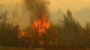 VIDEO| Incendio en La Estrella se produjo por chispa de máquina deforestadora