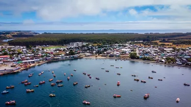 gobierno de kast retirara proyecto de nueva ley de pesca de boric y apostara por reformar norma actual