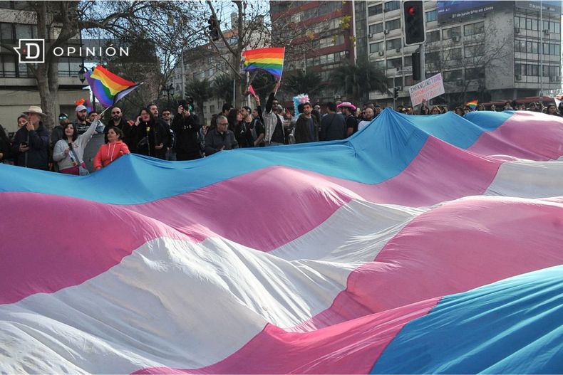 8652 bandera trans gigante en marcha del orgullo.jpg