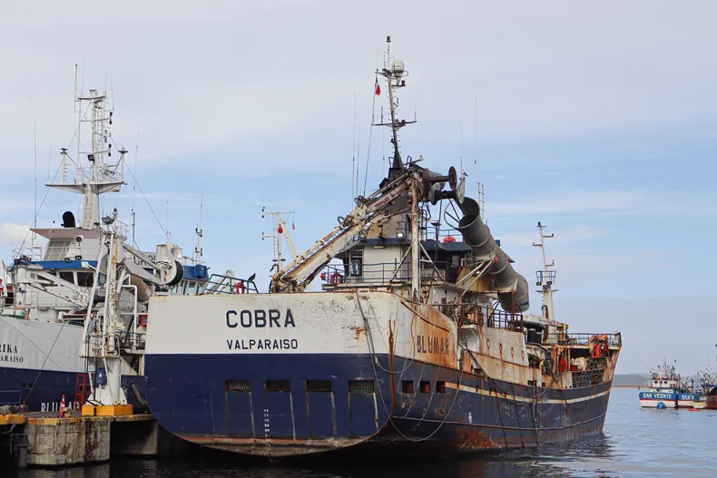 15273 el cobra.webp