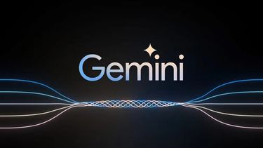 El Desconcierto | google gemini 1.jpg