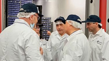 Senadores PS Saavedra y Espinoza intentan frenar fraccionamiento: Visitan a alcalde de Talcahuano y planta de la industria