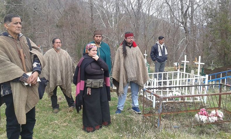 maca1.jpg
