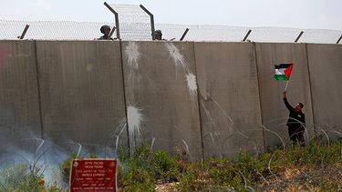 El Desconcierto | palestina.jpg