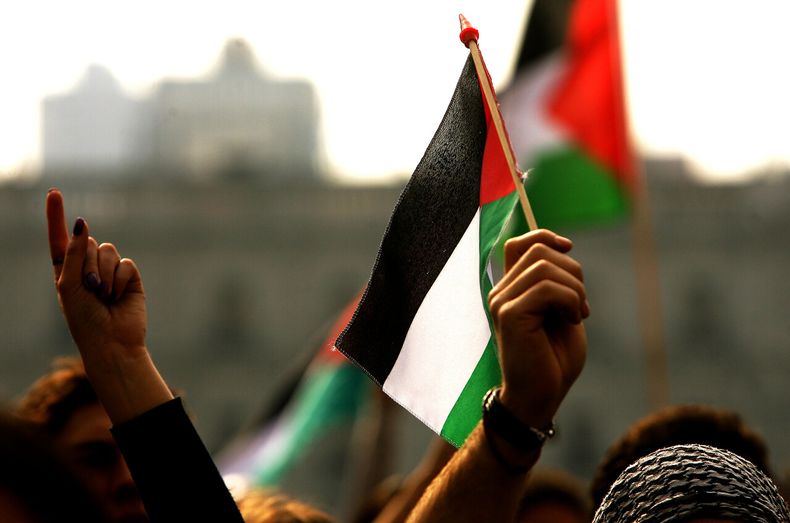 6132 palestina.jpg