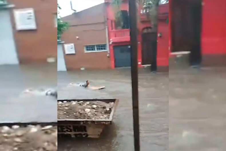 Surfista en montevideo.png