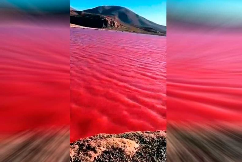 laguna roja.jpg