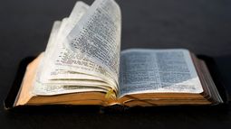 Apruebo Evangélico: Sus razones para respaldar la nueva Constitución