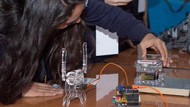 Ingeniosas, la iniciativa que busca promover la participación de niñas en ciencia y tecnología
