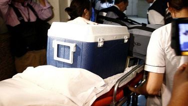 Bajo número de donantes y errores logísticos: Expertos critican política de donación de órganos