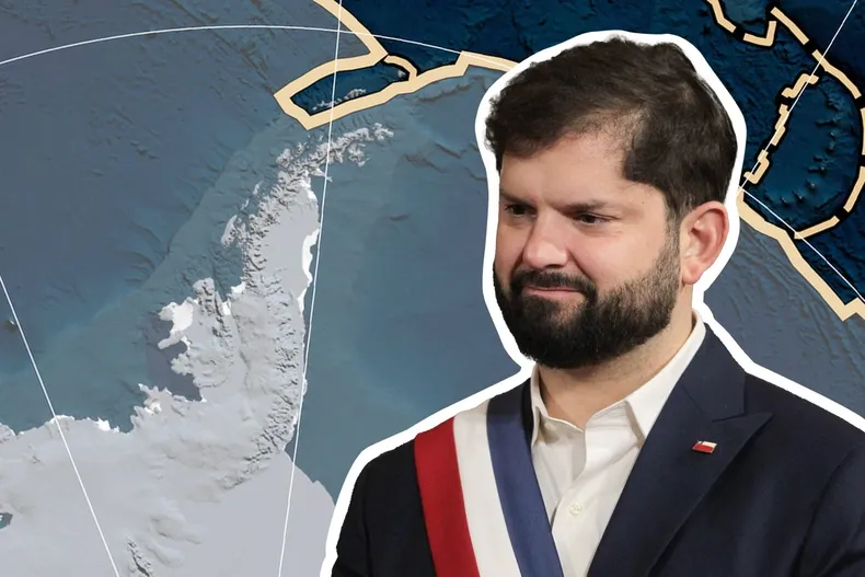 23091 boric antartica.webp