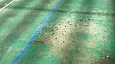 Fecas de gatos y ratones obligan a suspender inicio de año escolar en escuela municipal de Maipú