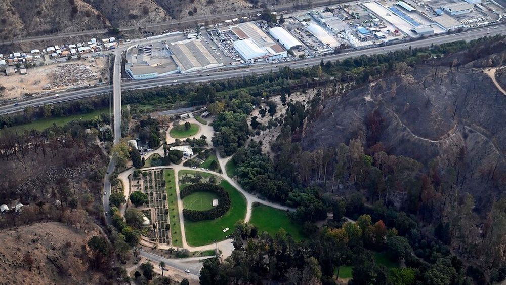 Organismos microscópicos sanarán el suelo quemado del jardín botánico de Viña del Mar