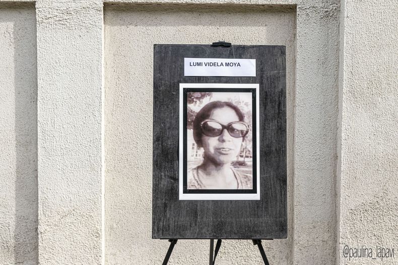 Cuadro de Lumi Videla Foto Paulina La Pavi.jpeg