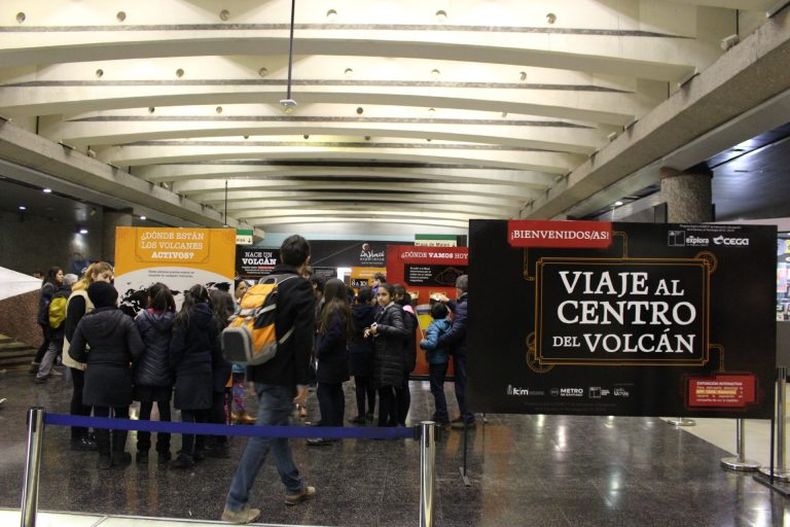 IMG_0595 768x512 1.jpg