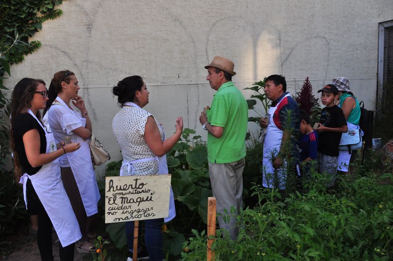 Taller de Huertos en Plaza Libertad scaled.jpg