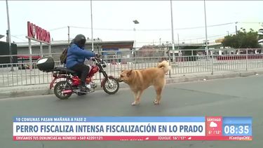 #Pantallazos2021: @Televisivamente realiza su tradicional y gracioso recuento del año