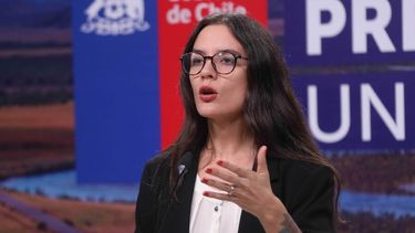 Ministra Vallejo y proyecto que busca cerrar tema constitucional: “Es política ficción”