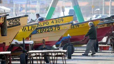Condepp tras aprobación de Plataforma Social en comisión de Pesca: “Se corrige una desigualdad histórica”