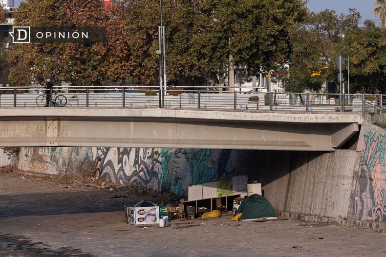 1072 carpa bajo un puente.jpg