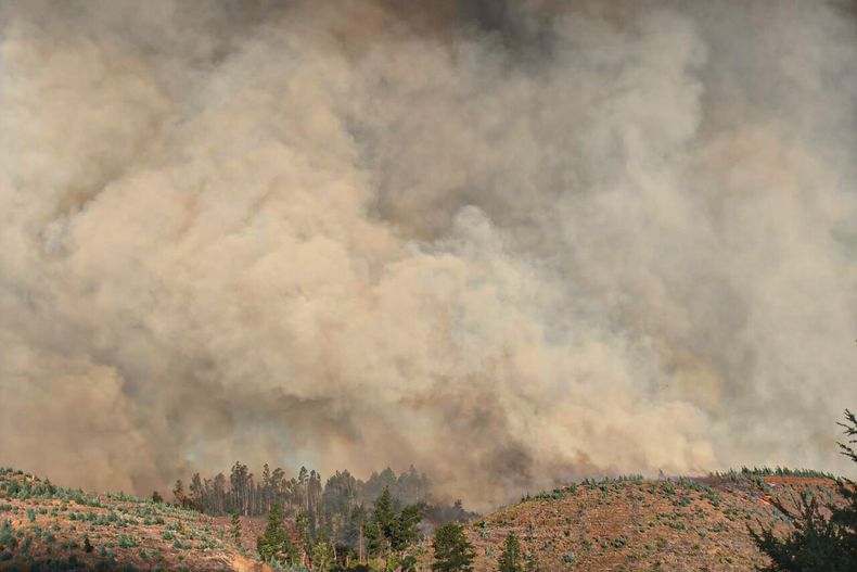 30424 a uno 1713375.jpg