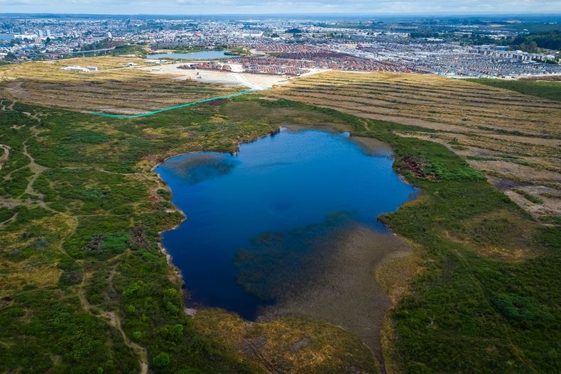 humedal puerto montt.jpg