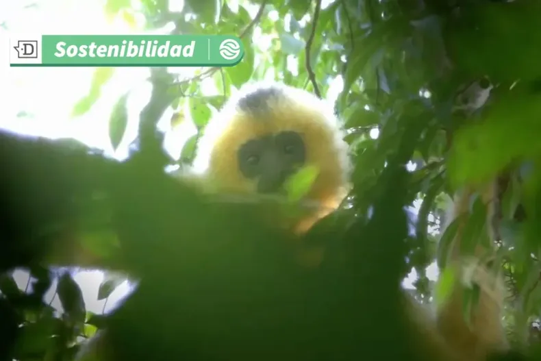 15282 diseno sin titulo 2025 05 06t124805.webp