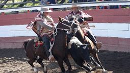 Bancada corralera de la UDI busca establecer el Día Nacional del Rodeo