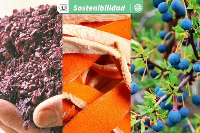 28537 diseno sin titulo 2026 01 09t173309.webp