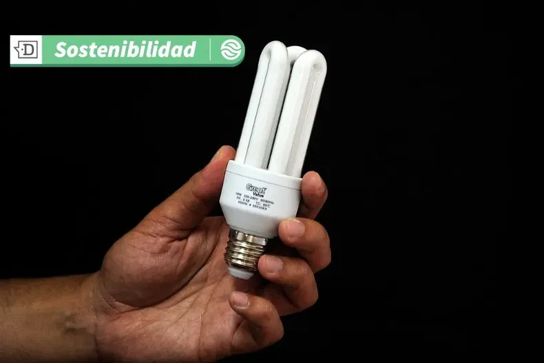 14306 diseno sin titulo 2025 04 14t113704.webp