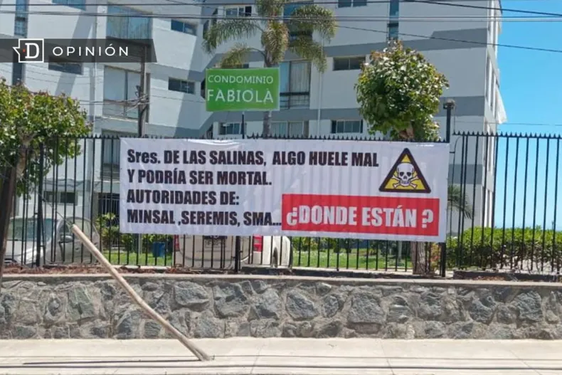 26618 cartel contra proyecto en las salinas.webp