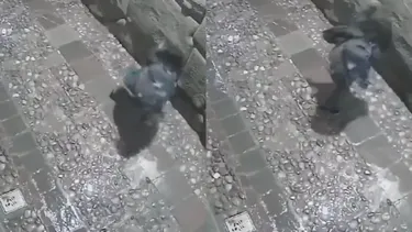 La piedra más famosa de los Incas por sus 12 ángulos es dañada por desconocido en el Cuzco: Fue grabado