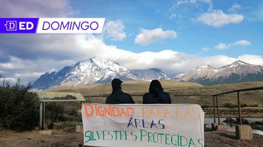 El Desconcierto | WhatsApp Image 2022 11 18 at 12.52.55.jpeg