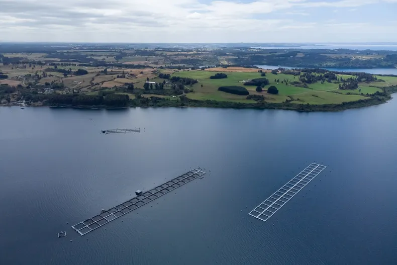 25791 a uno 1440094.webp