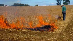Quemas controladas: Revisa qué regiones tienen autorización y en cuáles se suspenden hasta marzo y mayo