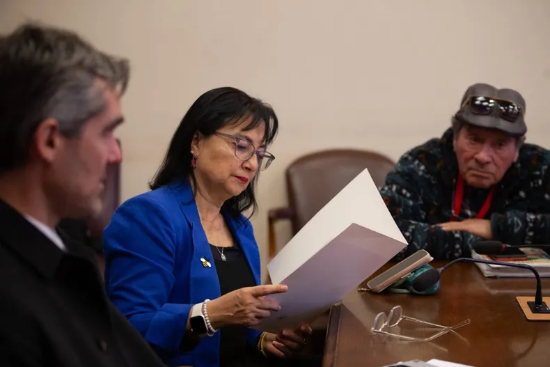 19383 diputadacarolinamarzan.webp