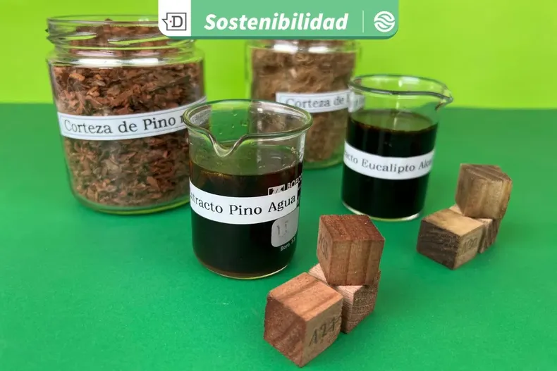 23108 diseno sin titulo 2025 09 25t103505.webp