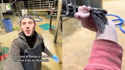 VIDEO| Chileno muestra el tamaño de las polillas en Australia: Un verdadero pájaro