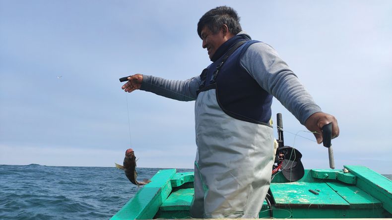 pescadores_VanessaRomo_mongabay.jpg