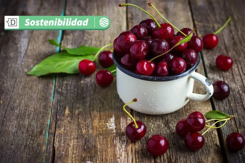 17759 diseno sin titulo 2025 06 19t145550.webp