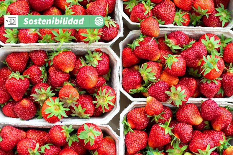 18842 diseno sin titulo 2025 07 09t101100.webp