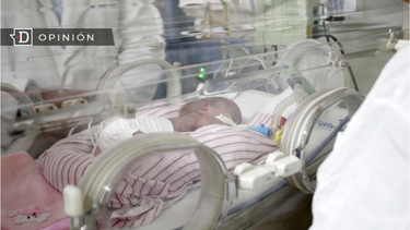 El Desconcierto | Neonatalidad e1691784954838.png