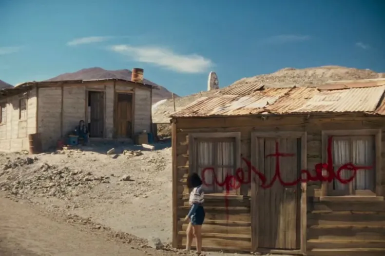 21867 diseno sin titulo 37.webp