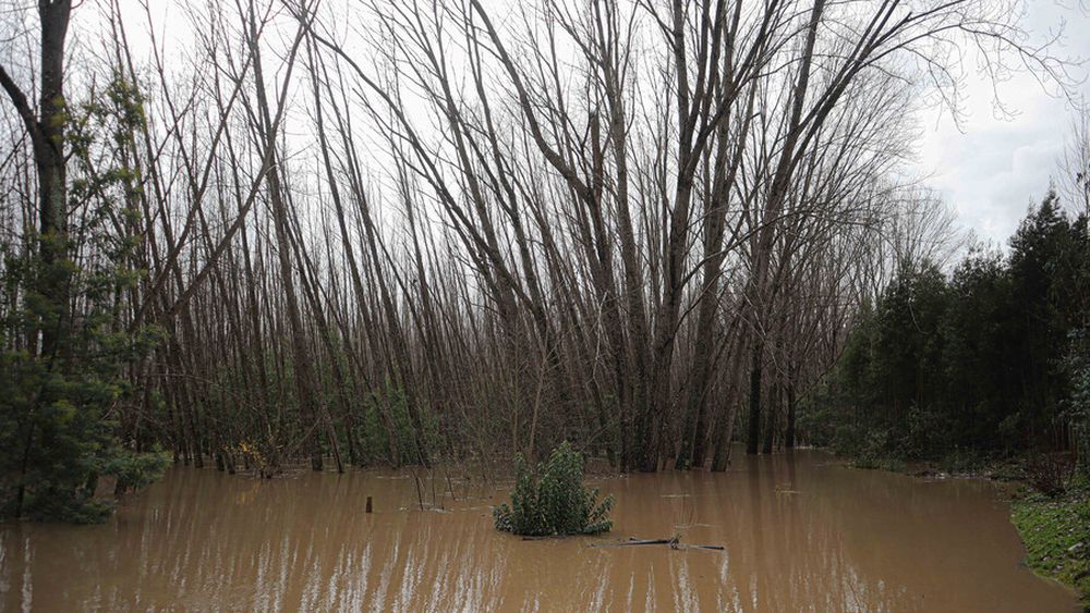 Lluvias en Chile: Alerta Roja en Región del Ñuble por inundaciones y remociones en masa