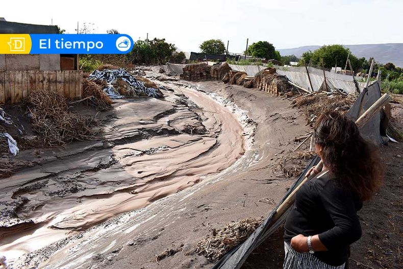 El Tiempo 1.jpg